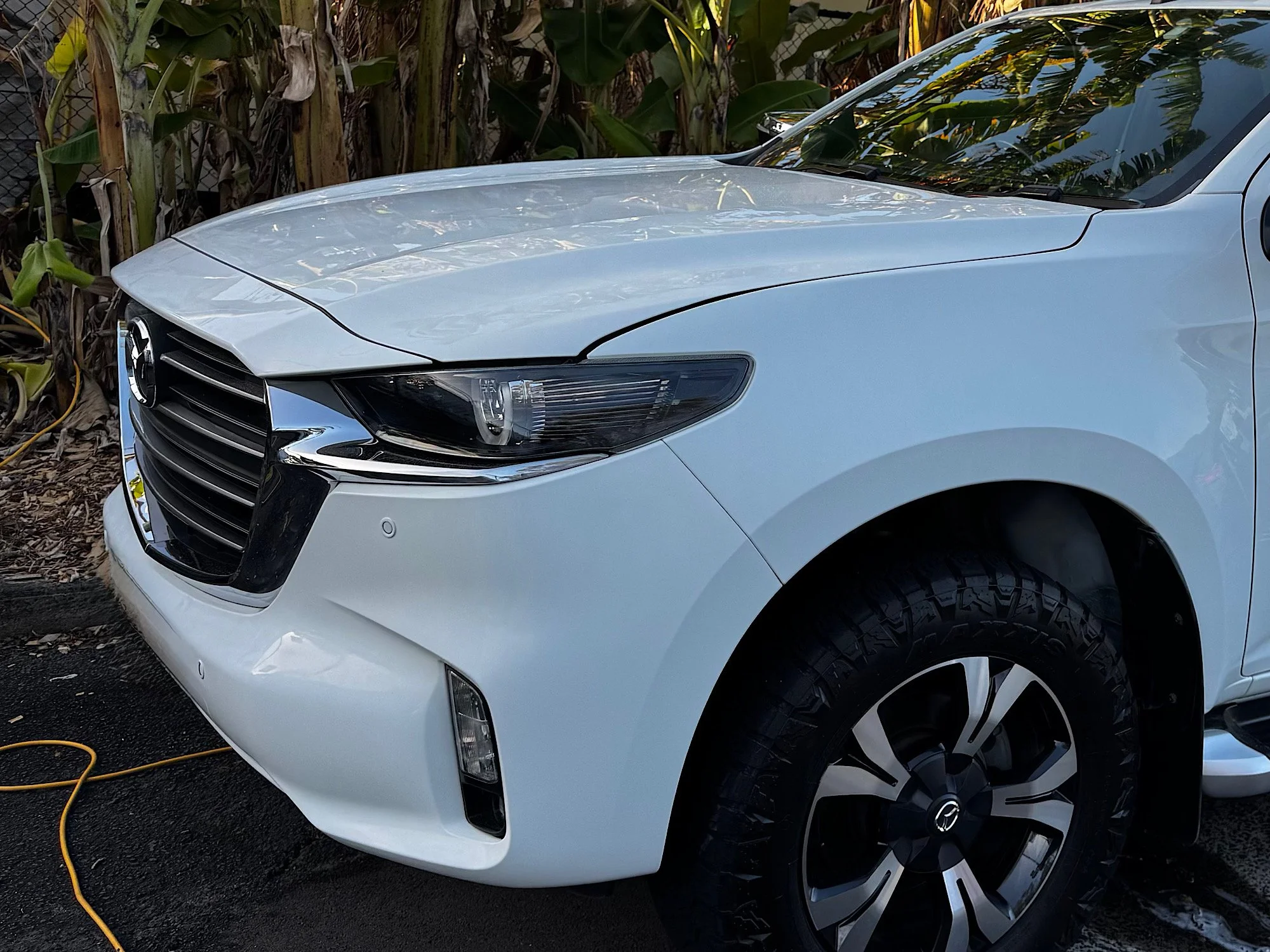 Mazda BT-50 bonnet condition before machine paint correction