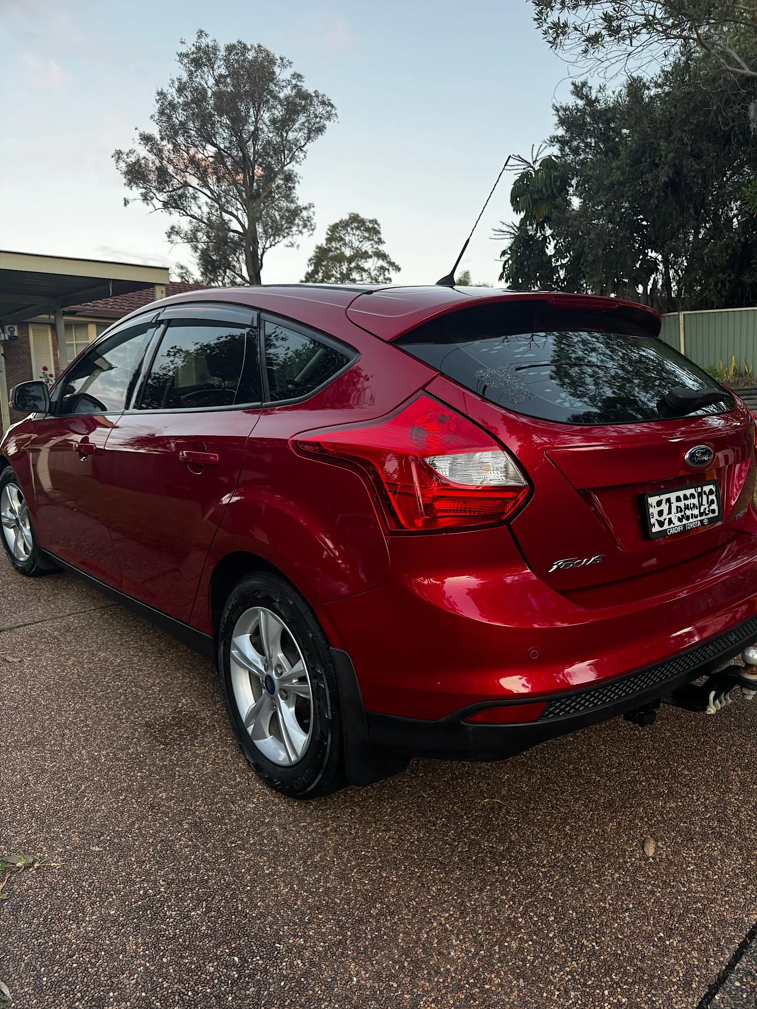 Rear angle of Ford Focus after full detail and paint restoration