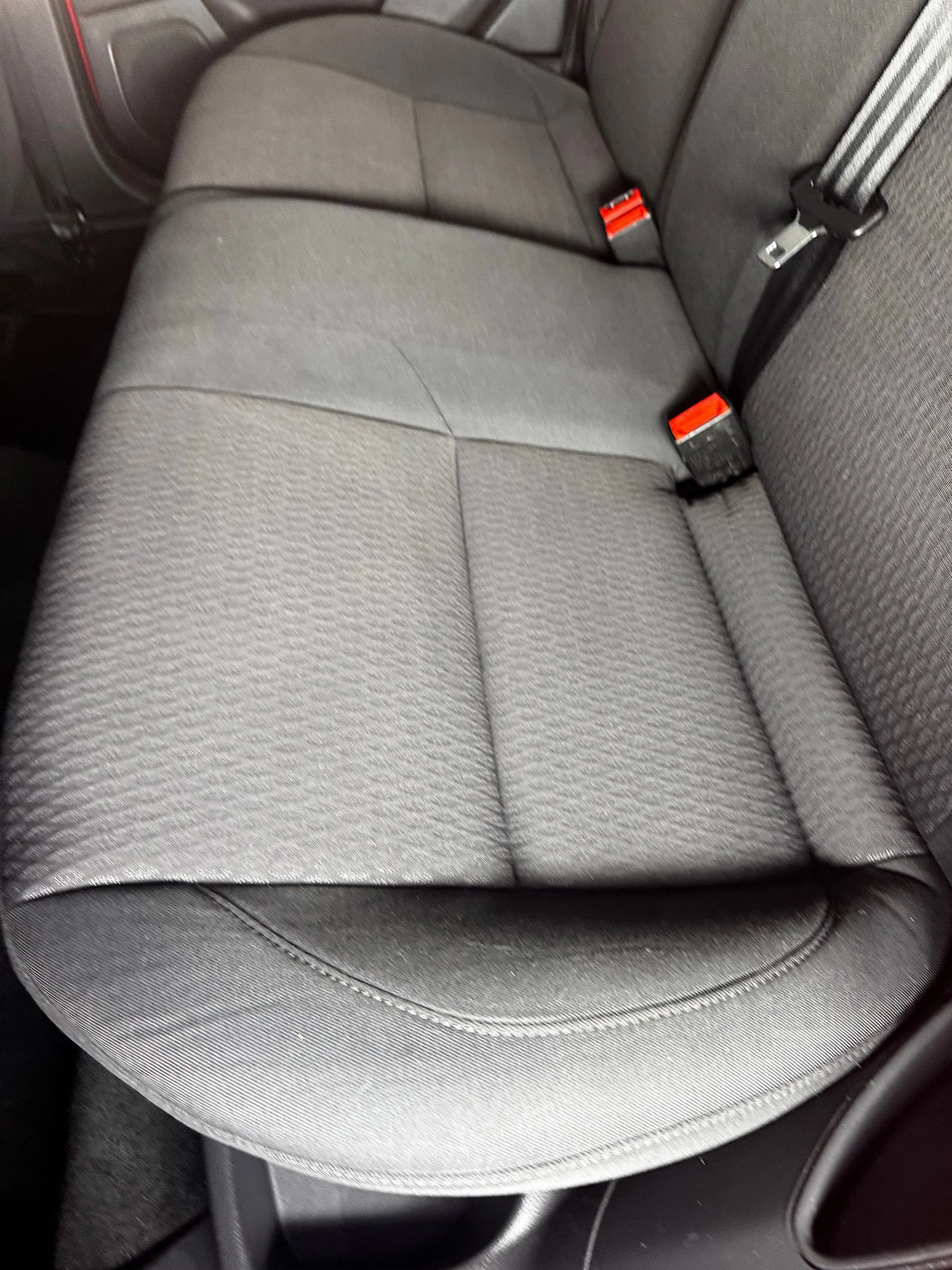 Rear seats after interior detailing and cleaning service on Ford Focus