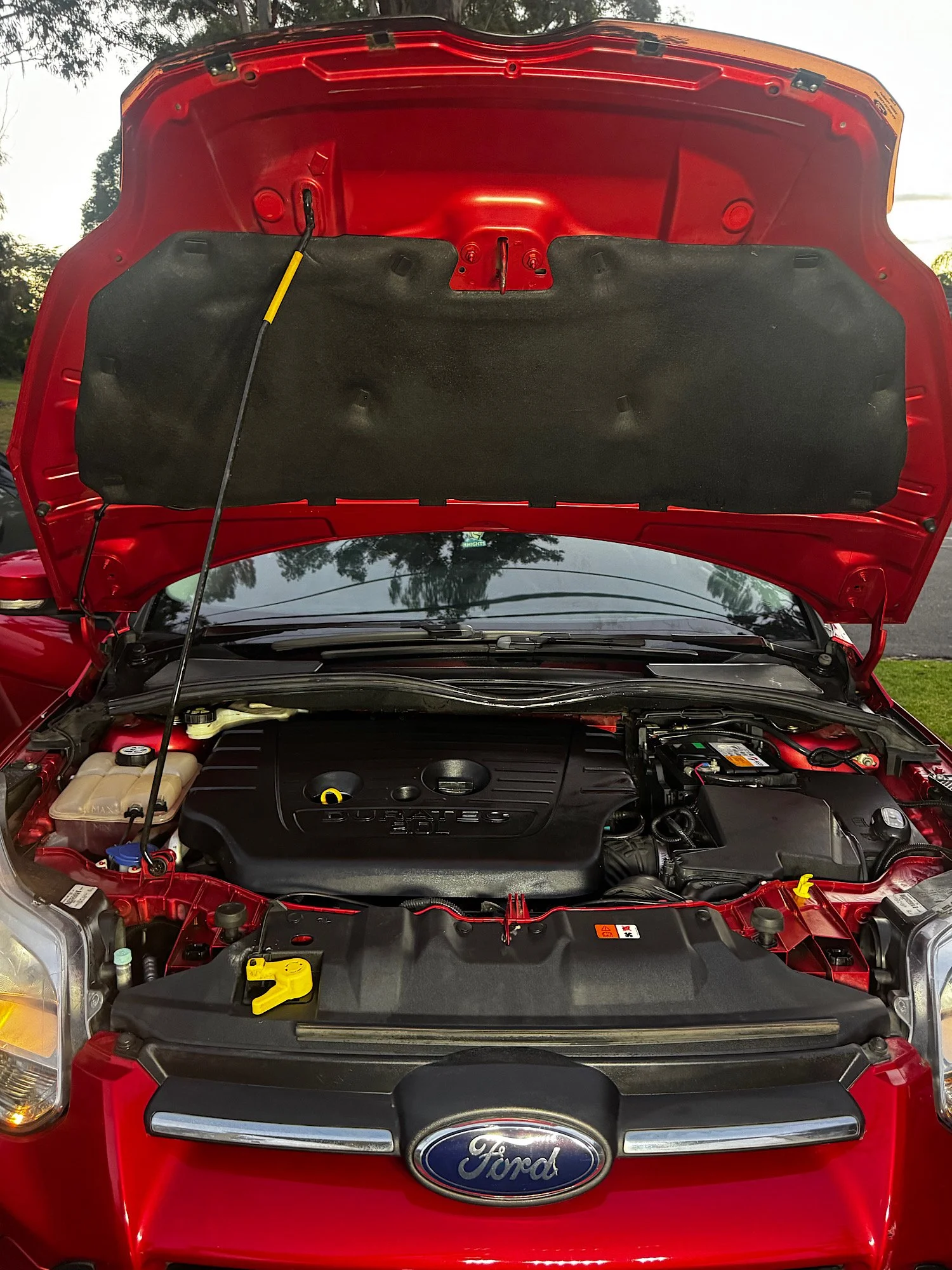 Ford Focus engine bay after detailing and cleaning service