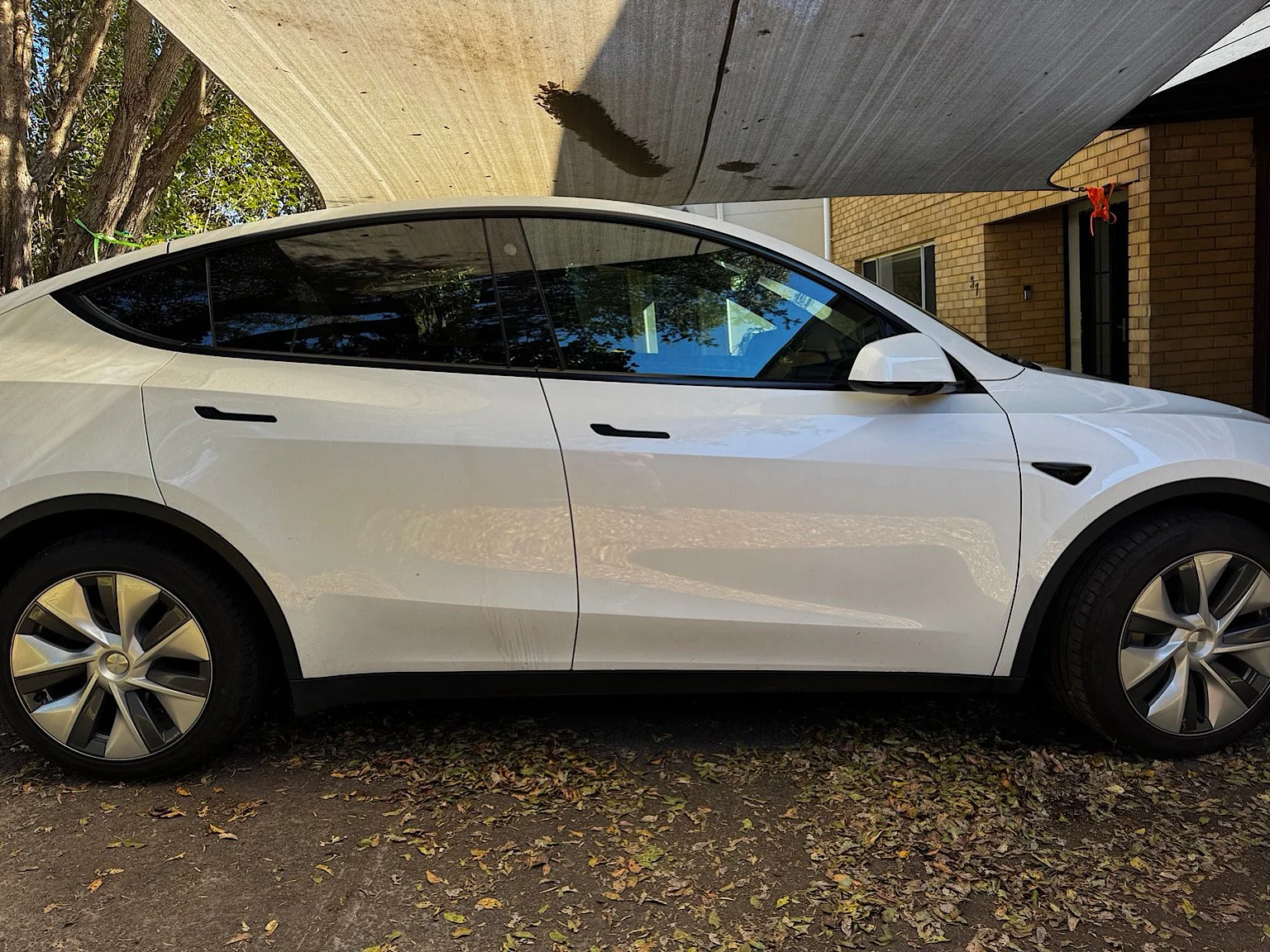 Side profile of Tesla Model Y with 3M Ceramic IR 35% front window tint and darker factory rear privacy glass