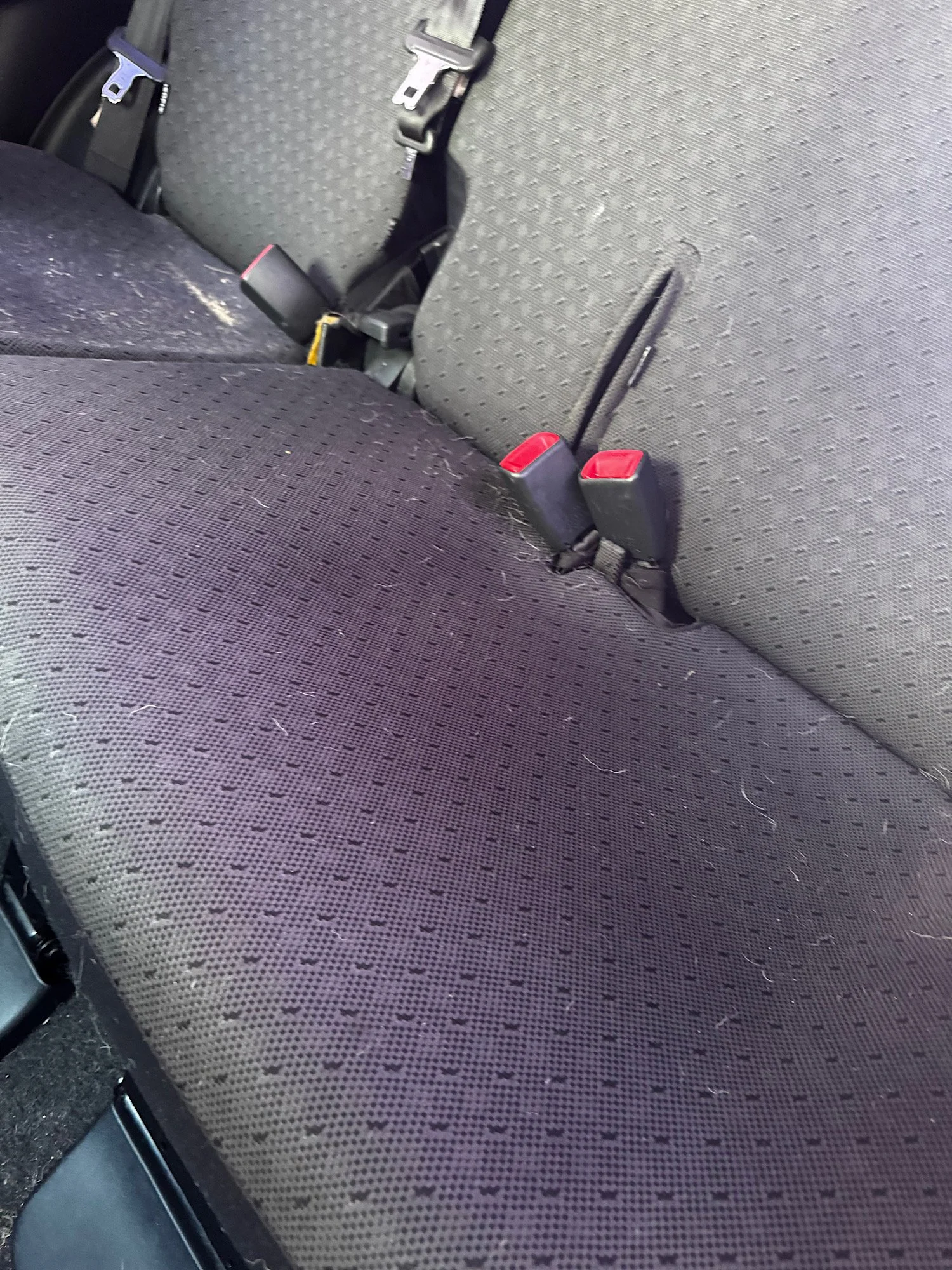 Pet hair on rear seats before Toyota Yaris interior detail