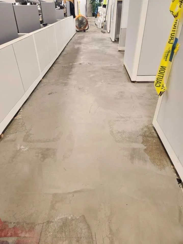 Prepared substrate along an existing workstation aisle.