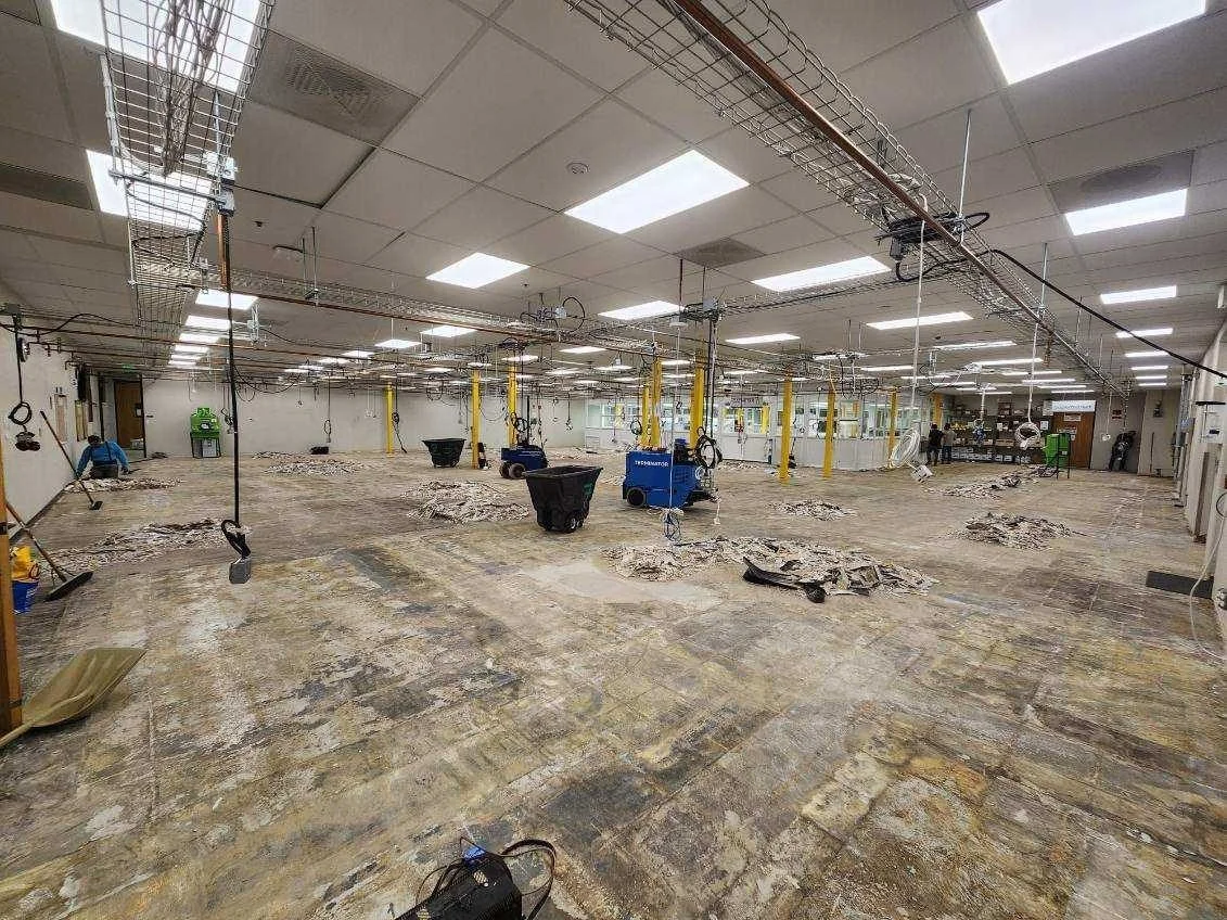 Sunnyvale medical technology facility lab: exposed substrate during demolition and preparation.