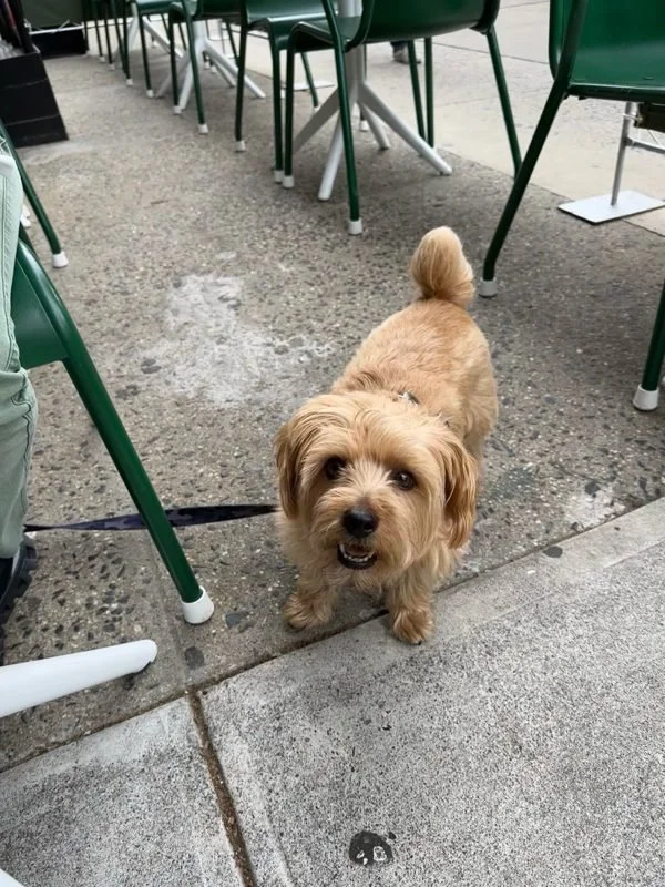 Freddy at Westville, photo 1