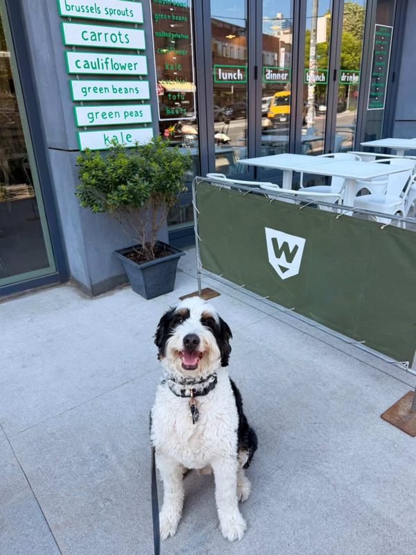 Remy at Westville, photo 1