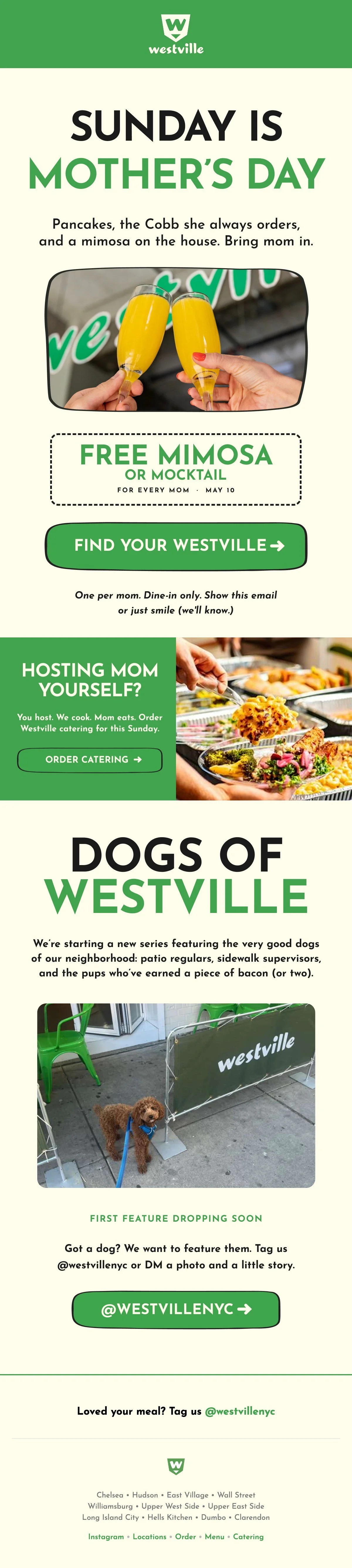 Mother’s Day and the Dogs of Westville introduction