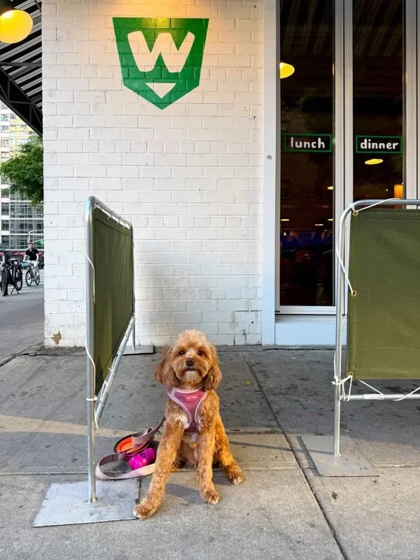 Sophie at Westville, photo 1