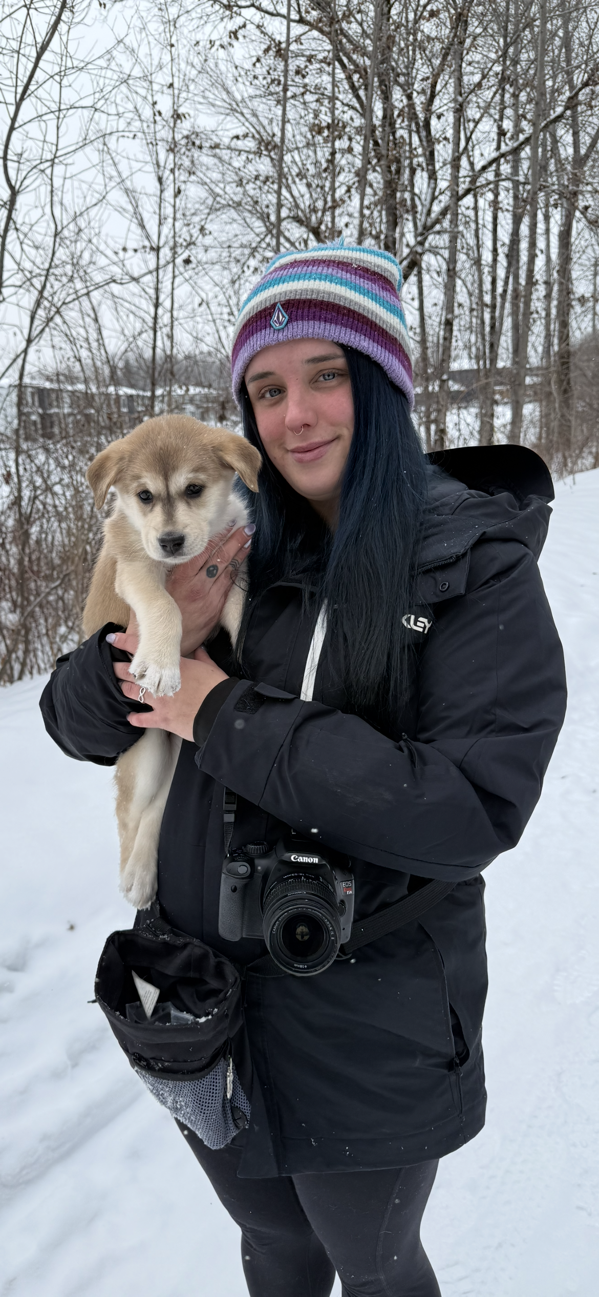Bénévole Chiots Nordiques
