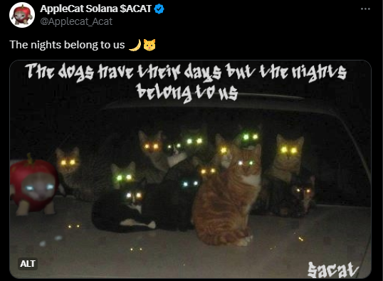Nights Belong To Us