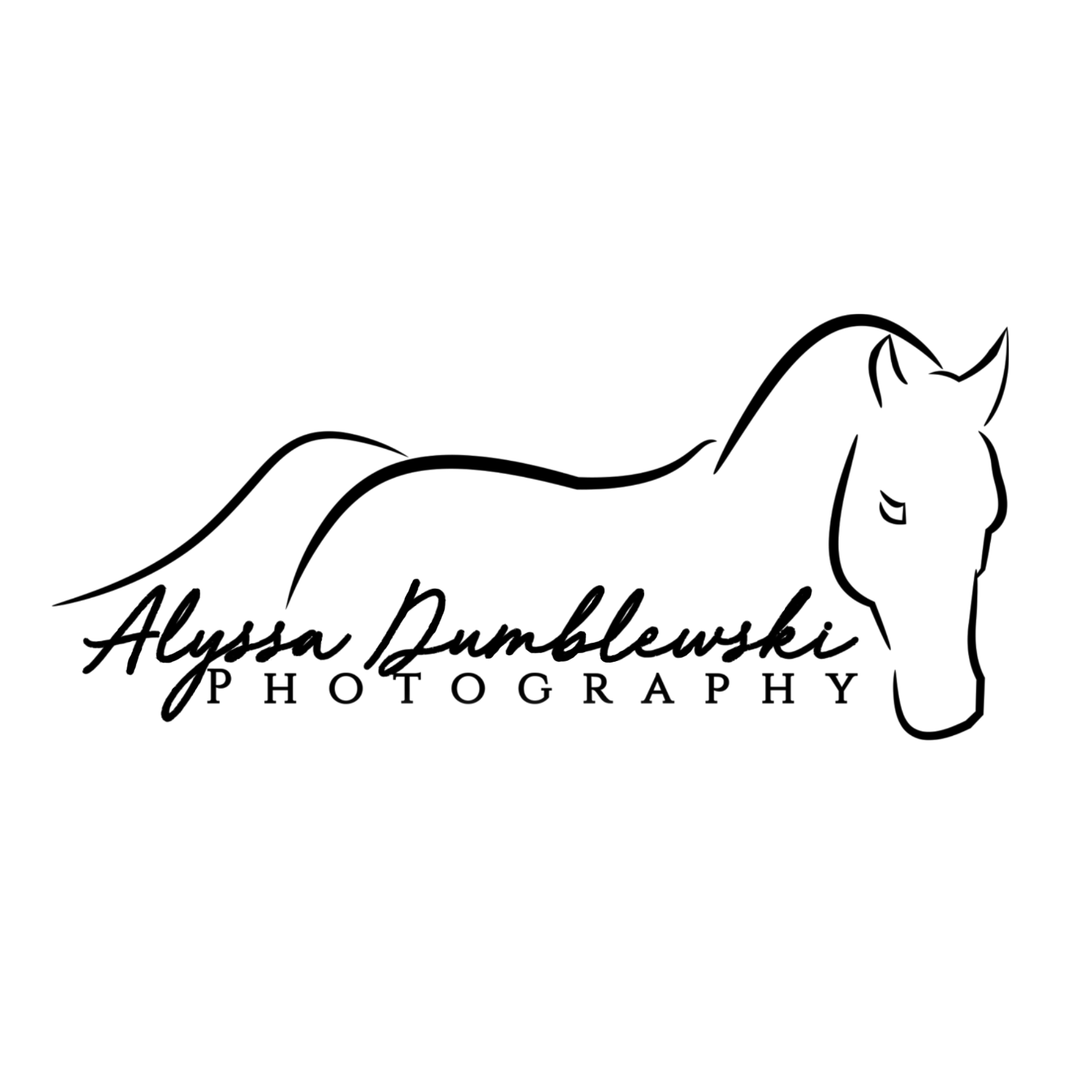 Alyssa Dumblewski Photography logo