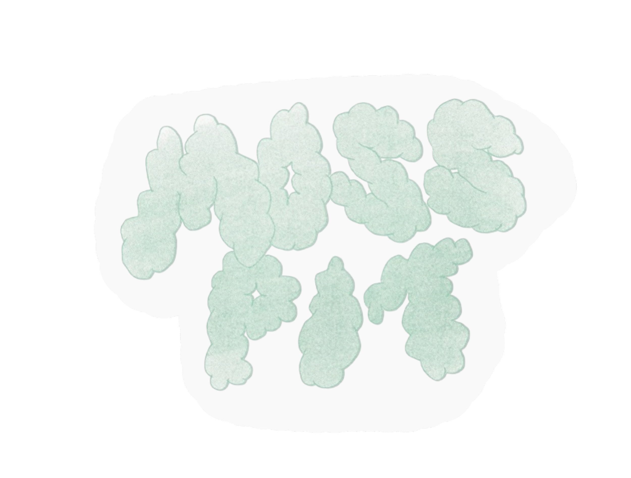 Hover Image