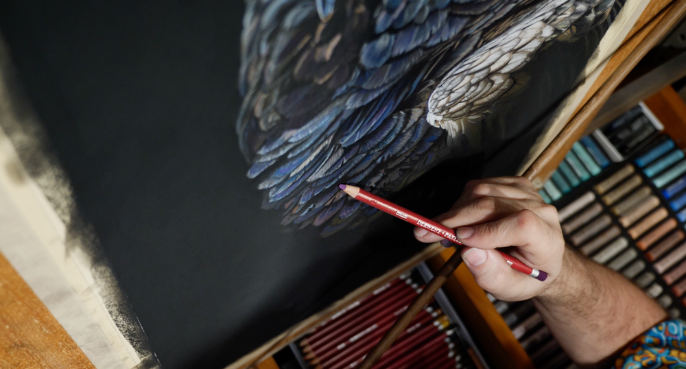 Hand drawing blue feathers in pastel pencil