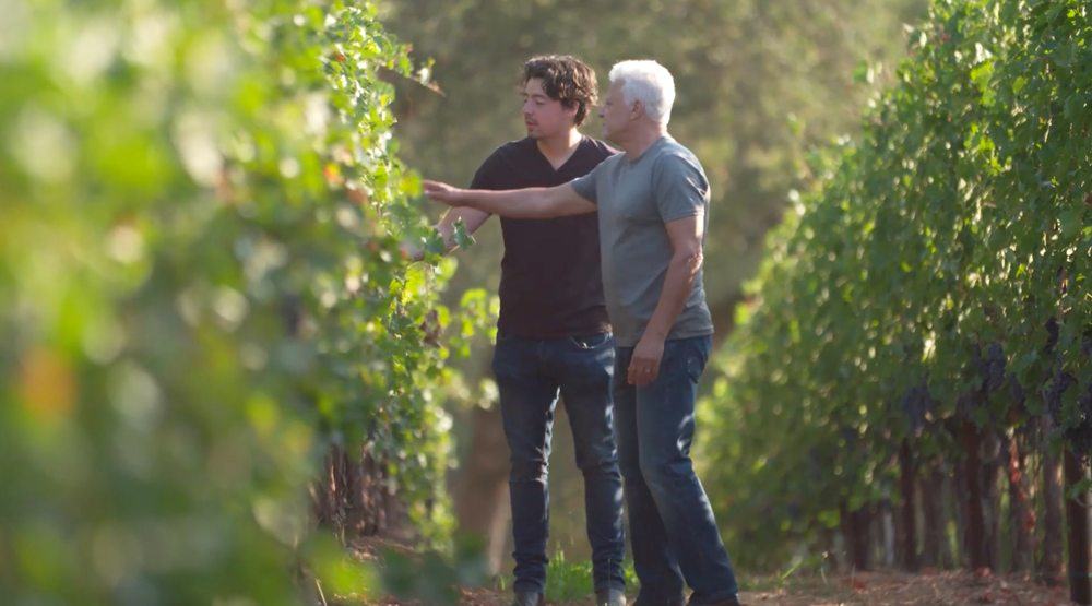 Colby and his father walking the vineyard rows