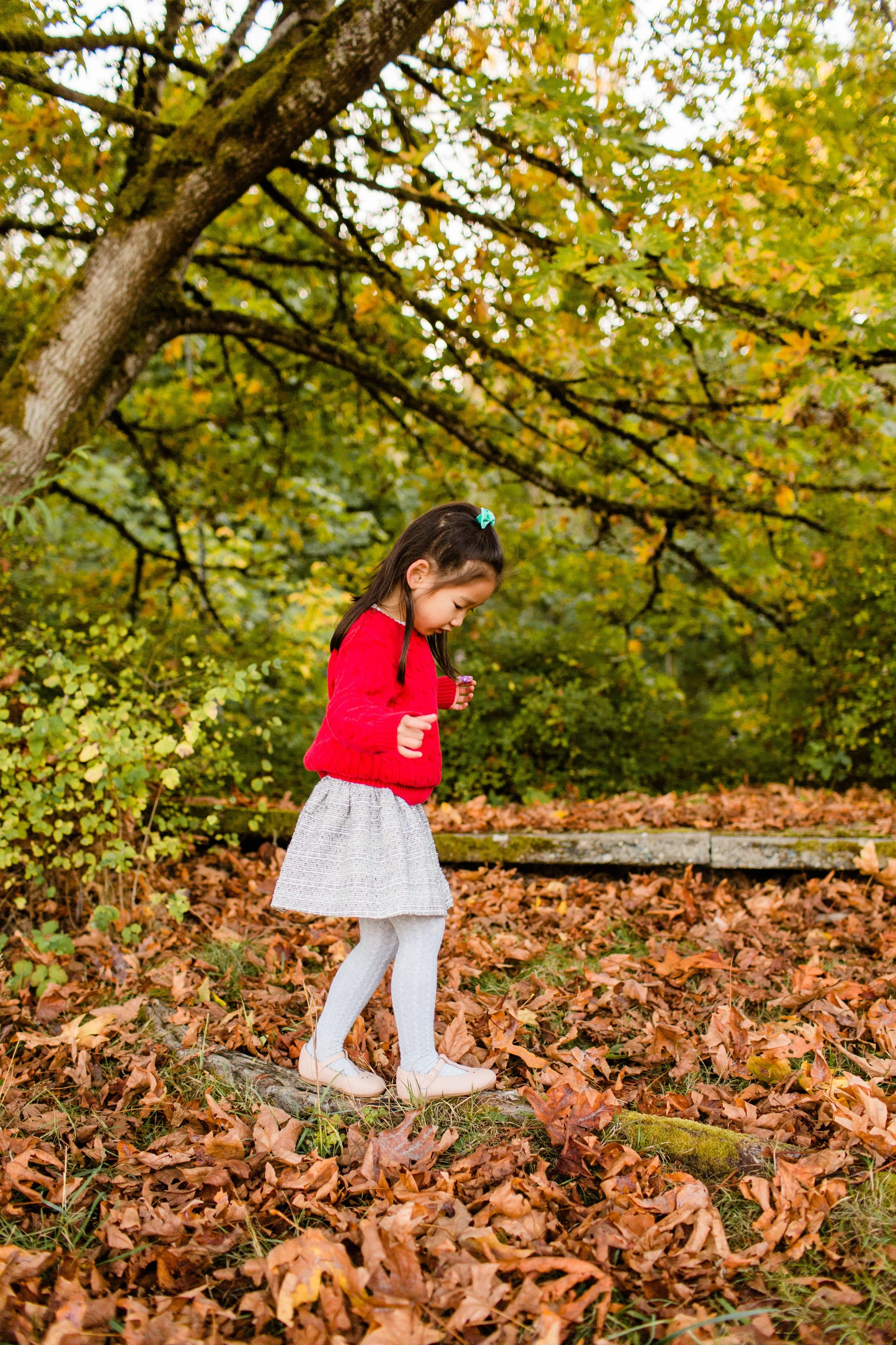 Child on a log