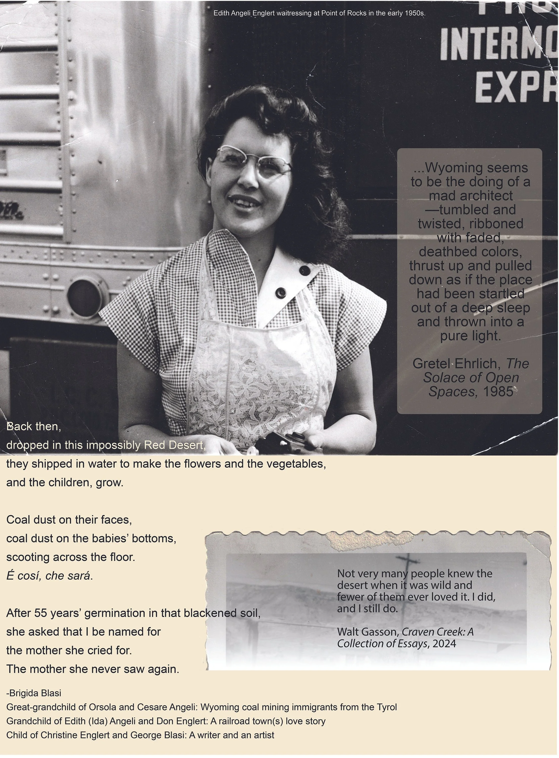 Brie Blasi panel 1
