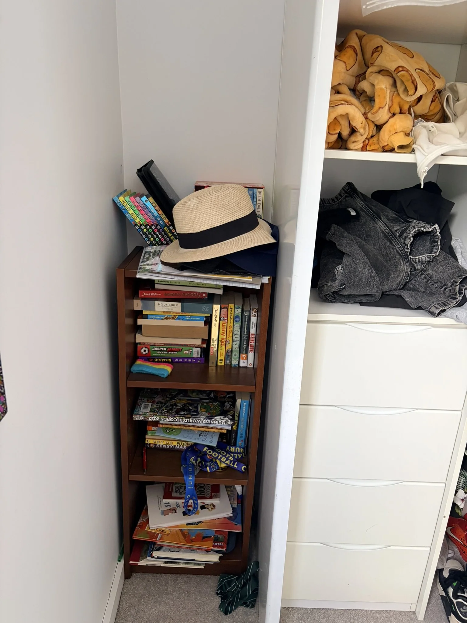 Cluttered wardrobe before home organisation Inner West Sydney
