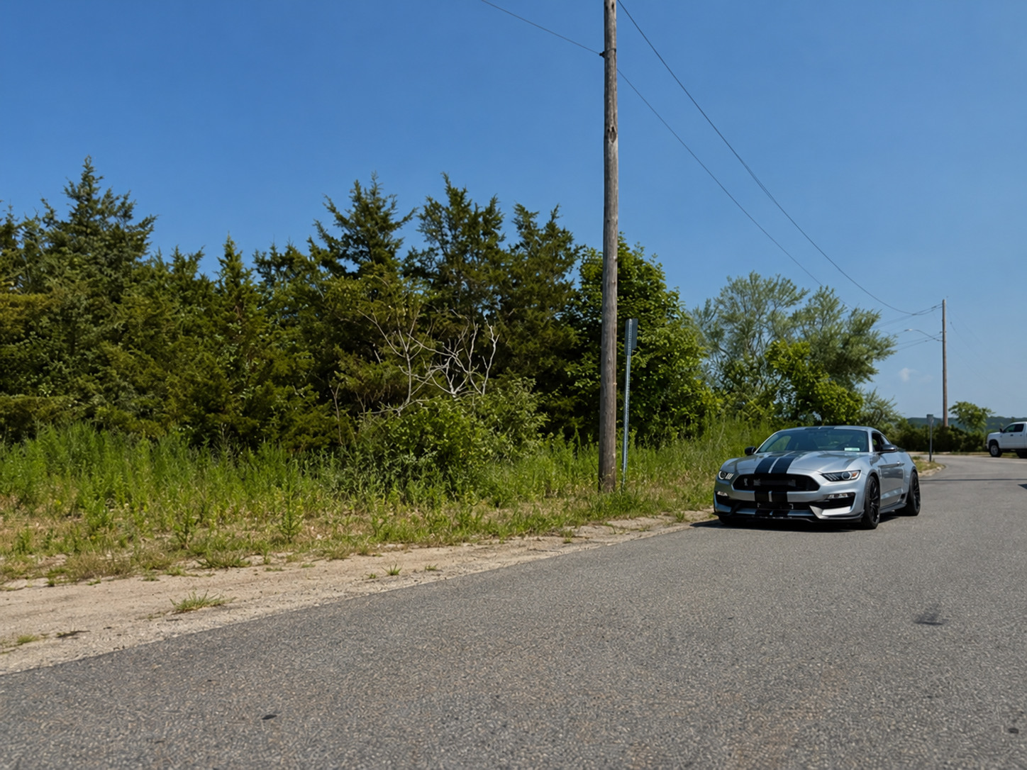 A silver 2020 Shelby GT350 with black stripes parked on the roadside