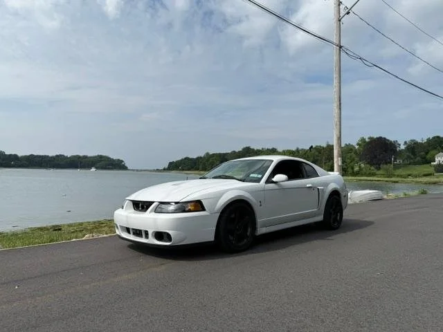 A white Mustang Cobra Terminator with dark wheels parked beside the water