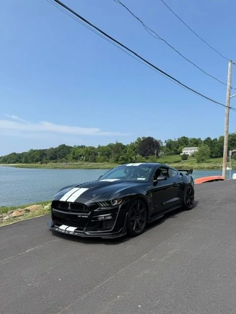 A black Shelby GT500 with white racing stripes parked beside the water