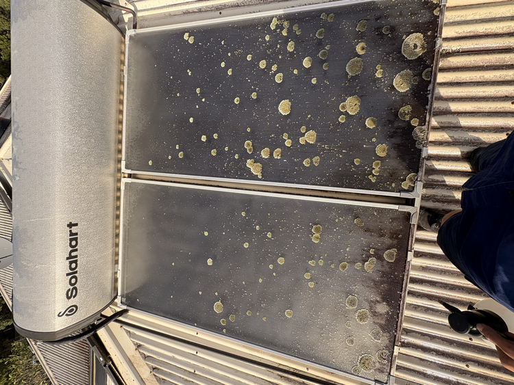 SunWise solar panel cleaning before and after photo 11
