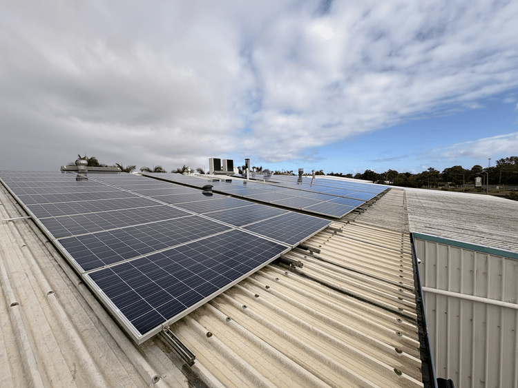 SunWise commercial solar cleaning job photo 5