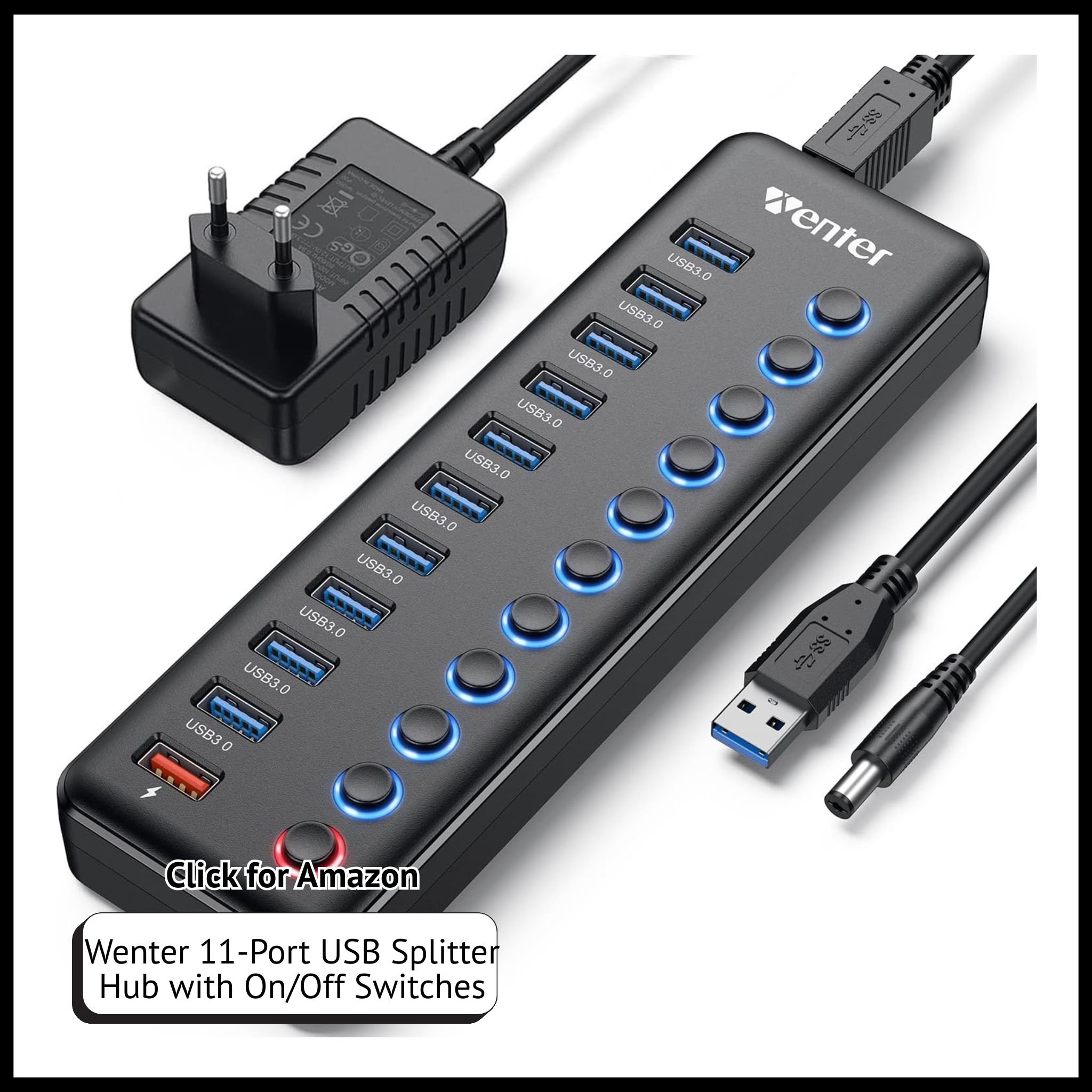 Wenter 11-Port Powered USB Hub – 10 Data Ports + 1 Smart Charging Port, Individual On/Off Switches, LED Indicators.