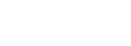 Paris Secret