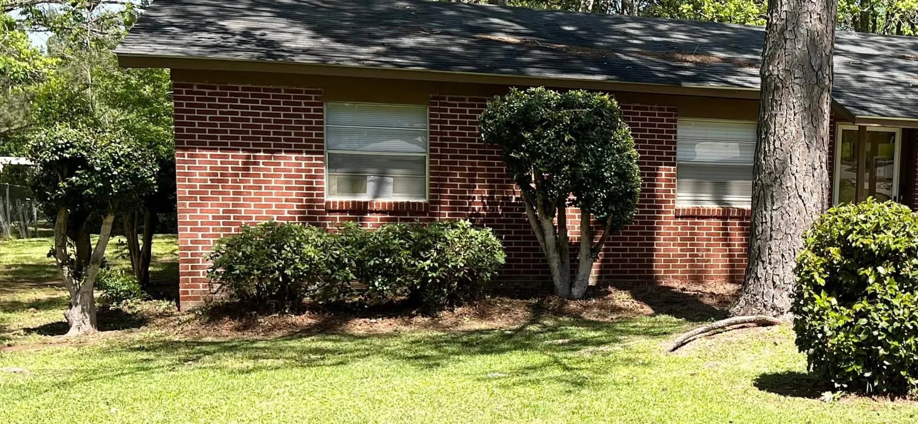 Neatly trimmed shrubs against a brick house after service