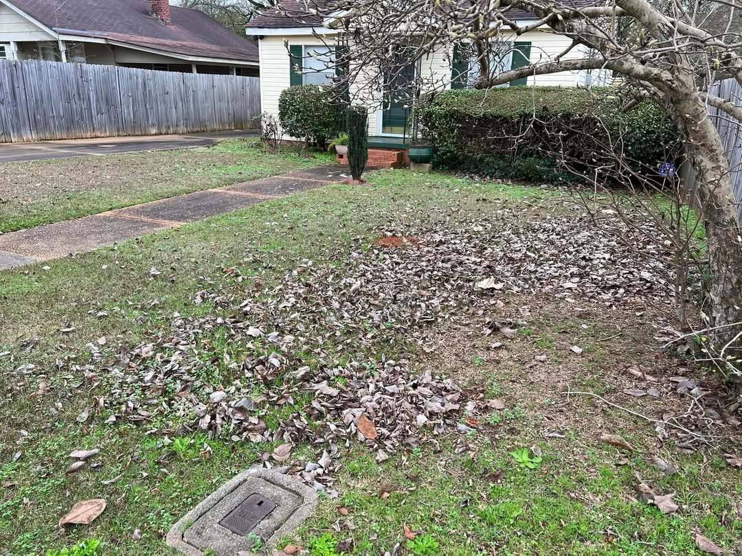 Side yard covered in leaves before cleanup