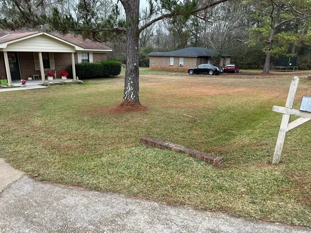 Front yard clean after pine needle removal