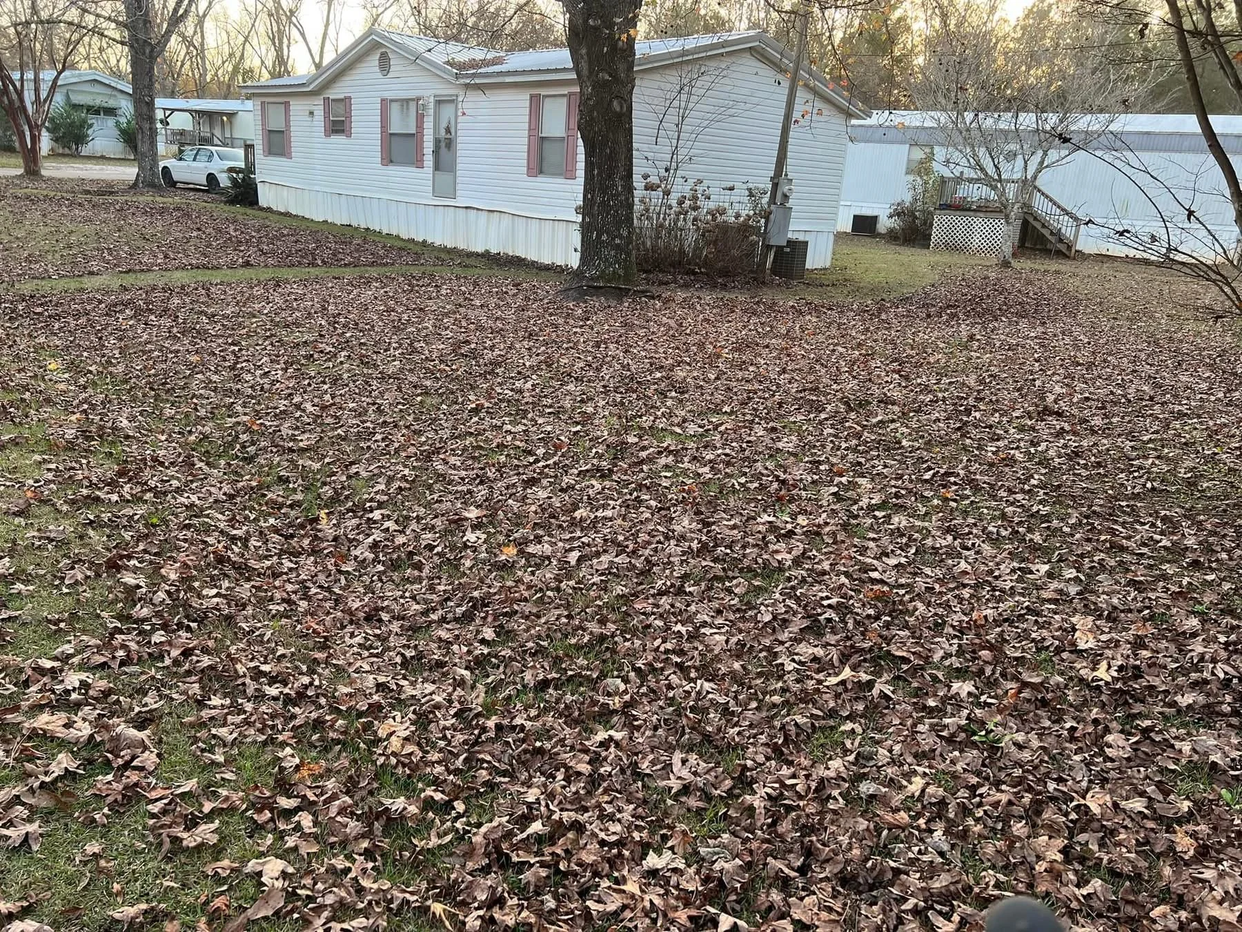 Backyard buried in heavy leaf cover before cleanup