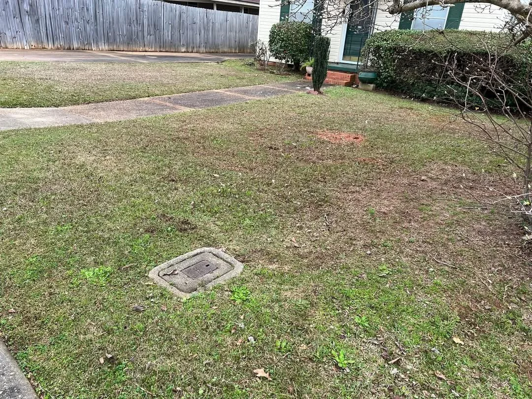 Side yard clear of leaves after cleanup