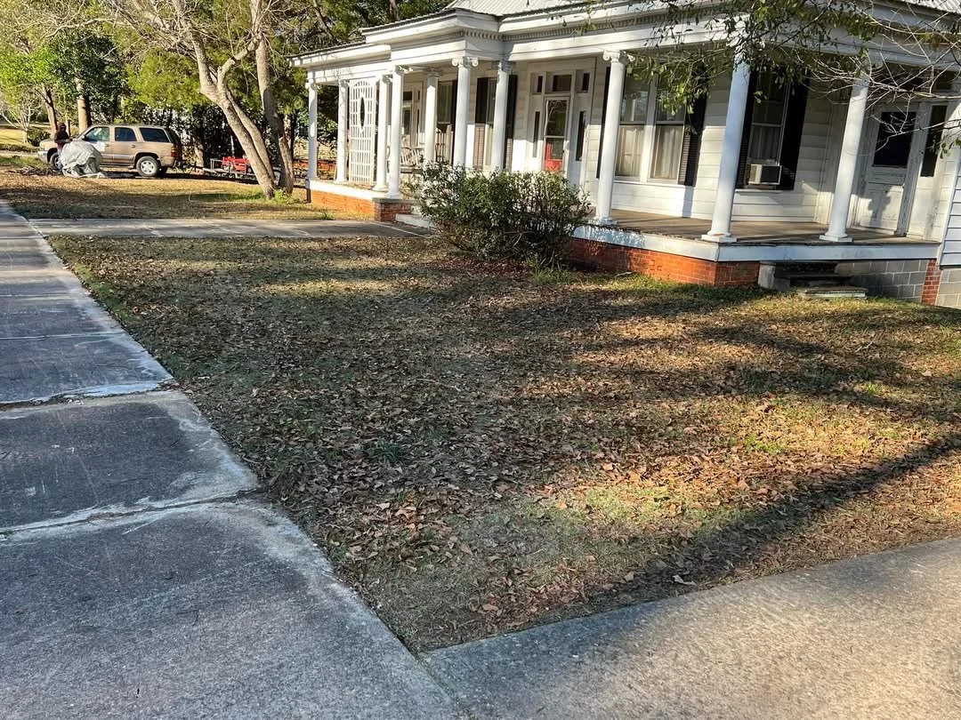 Front yard covered in leaves before cleanup