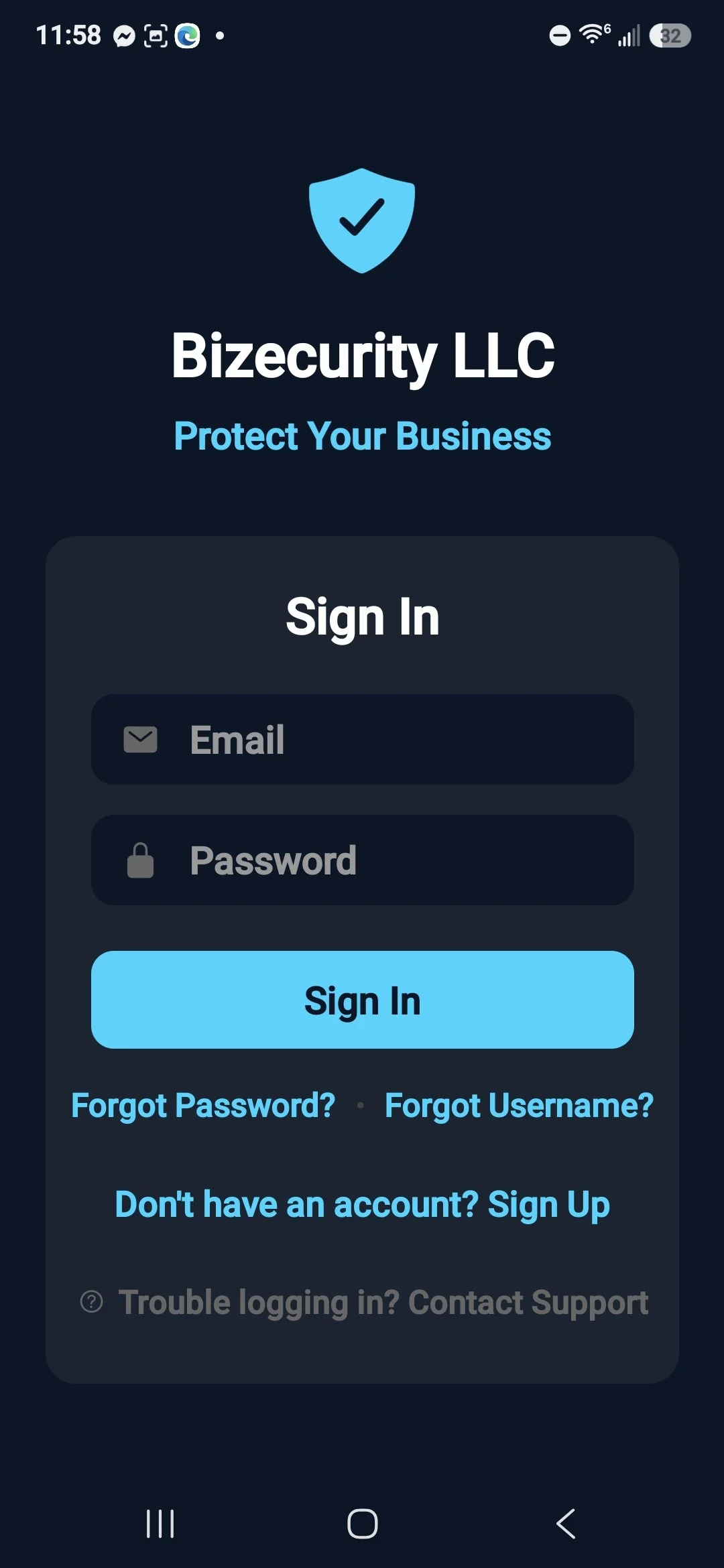 Bizecurity Login Screen