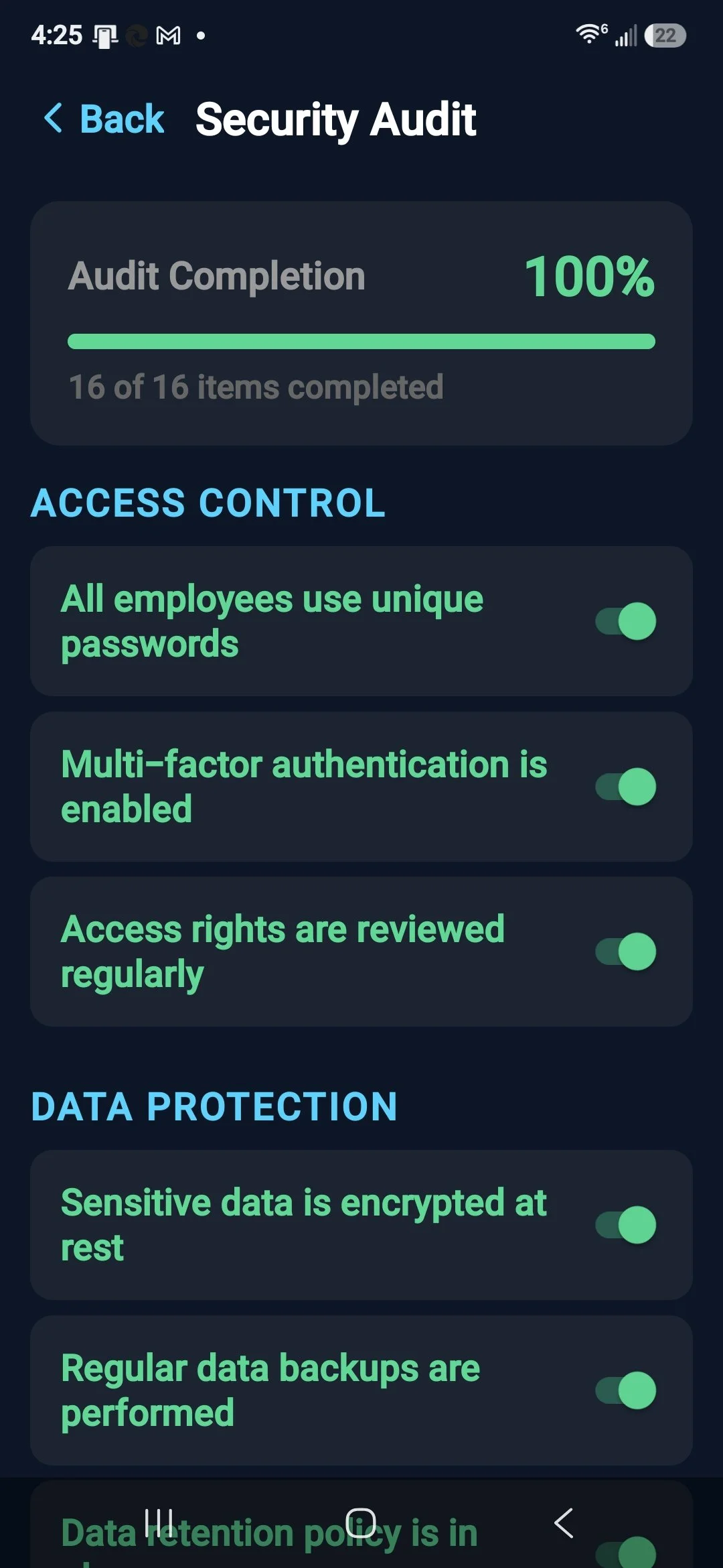 Security Audit