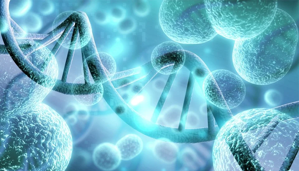 Cellular Health