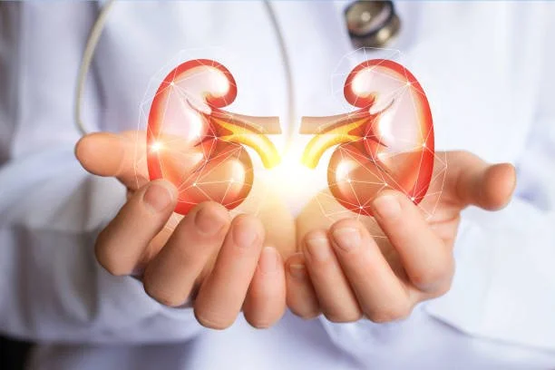 Kidney Support