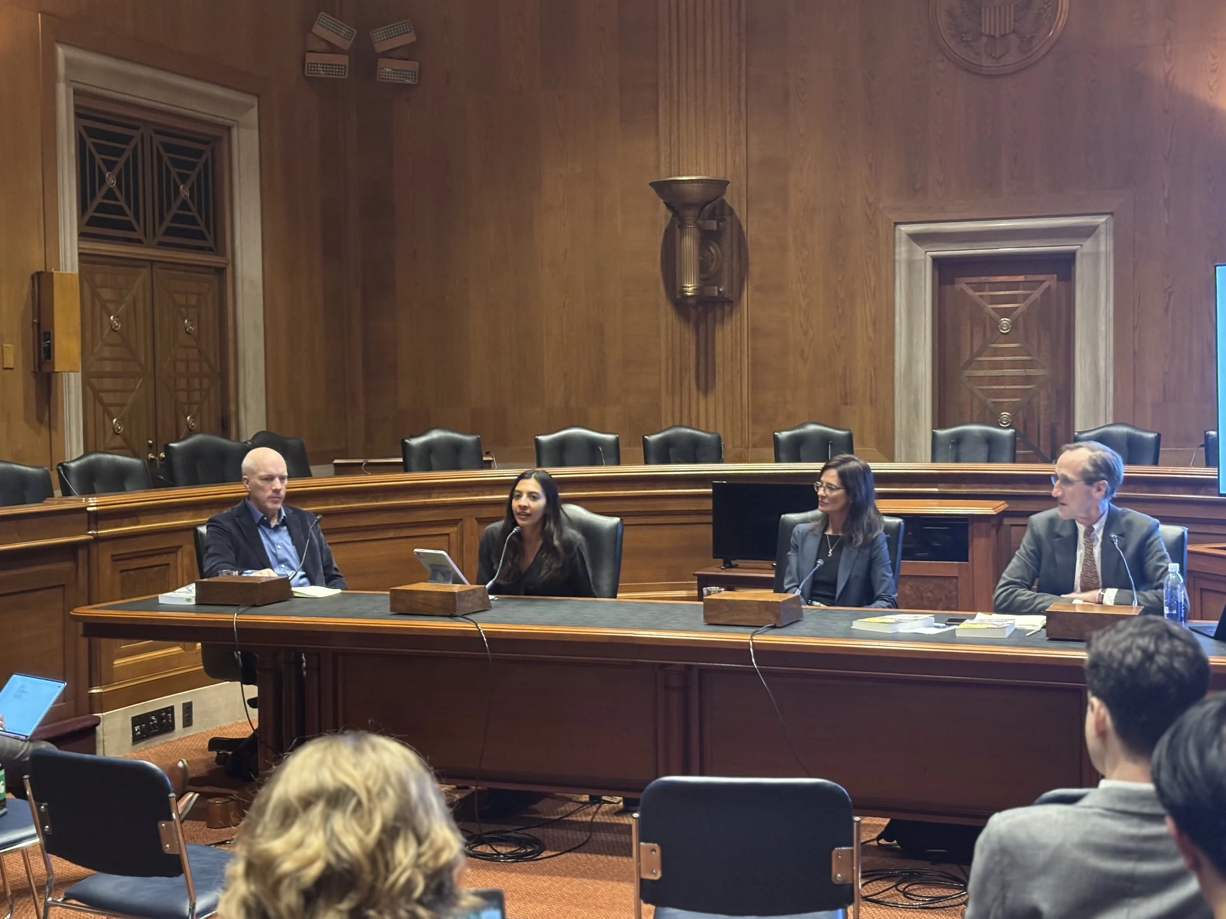 Investigative Team with Corporate Accountability Experts and Hearing Witnesses
