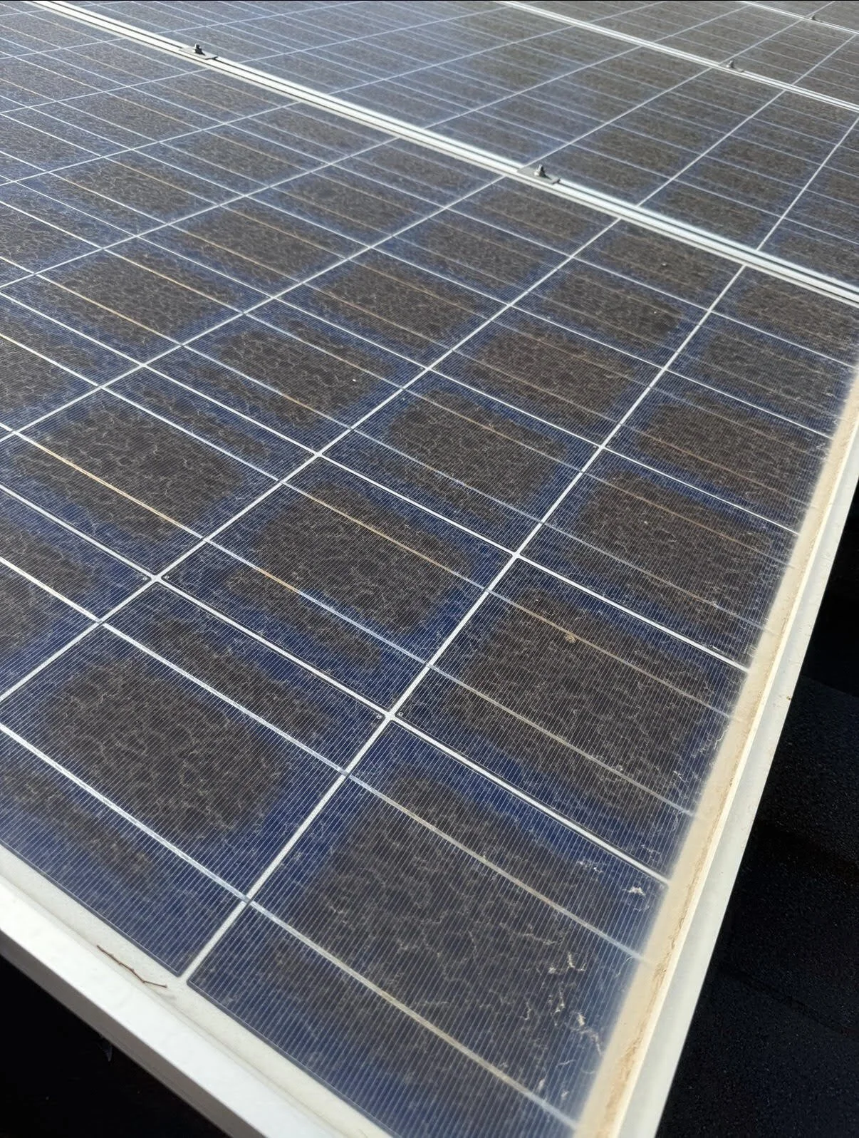 Clean Solar Panel After