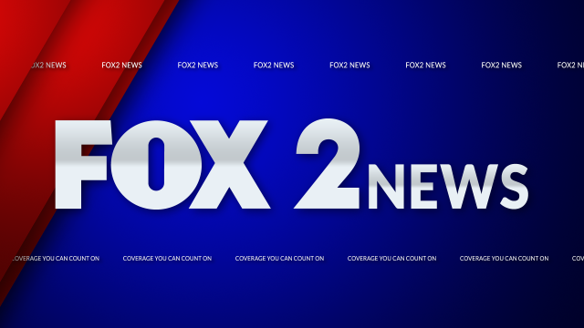 As Seen on Fox 2 News