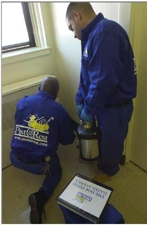 Two Pest at Rest technicians treating an apartment radiator area