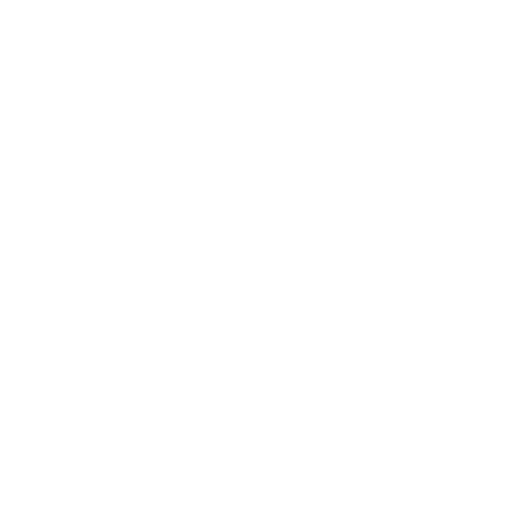 IRT Institute logo