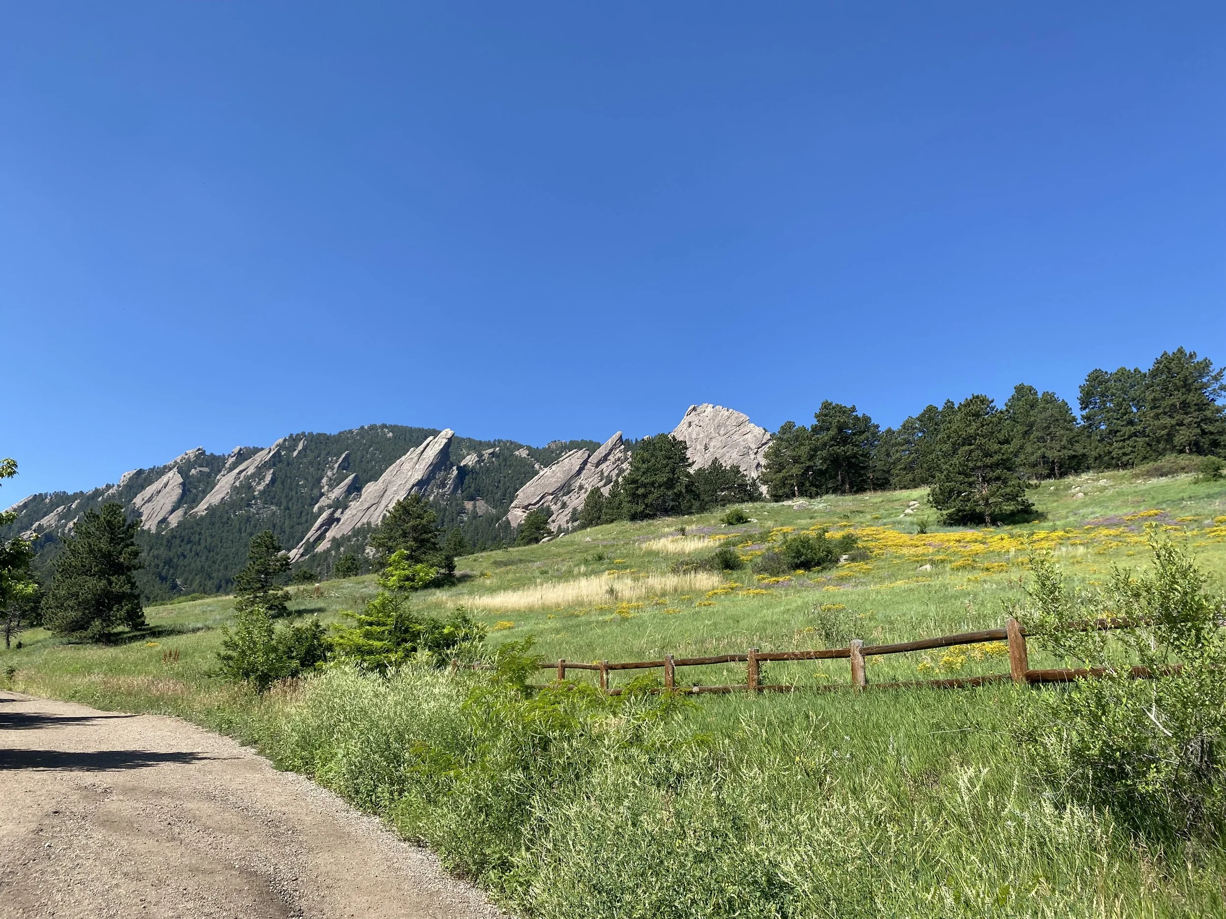 Rope Wranglers mission image