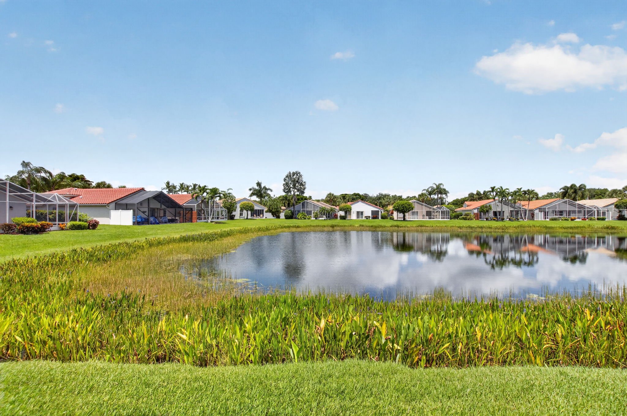 Tranquil lake views from the backyard