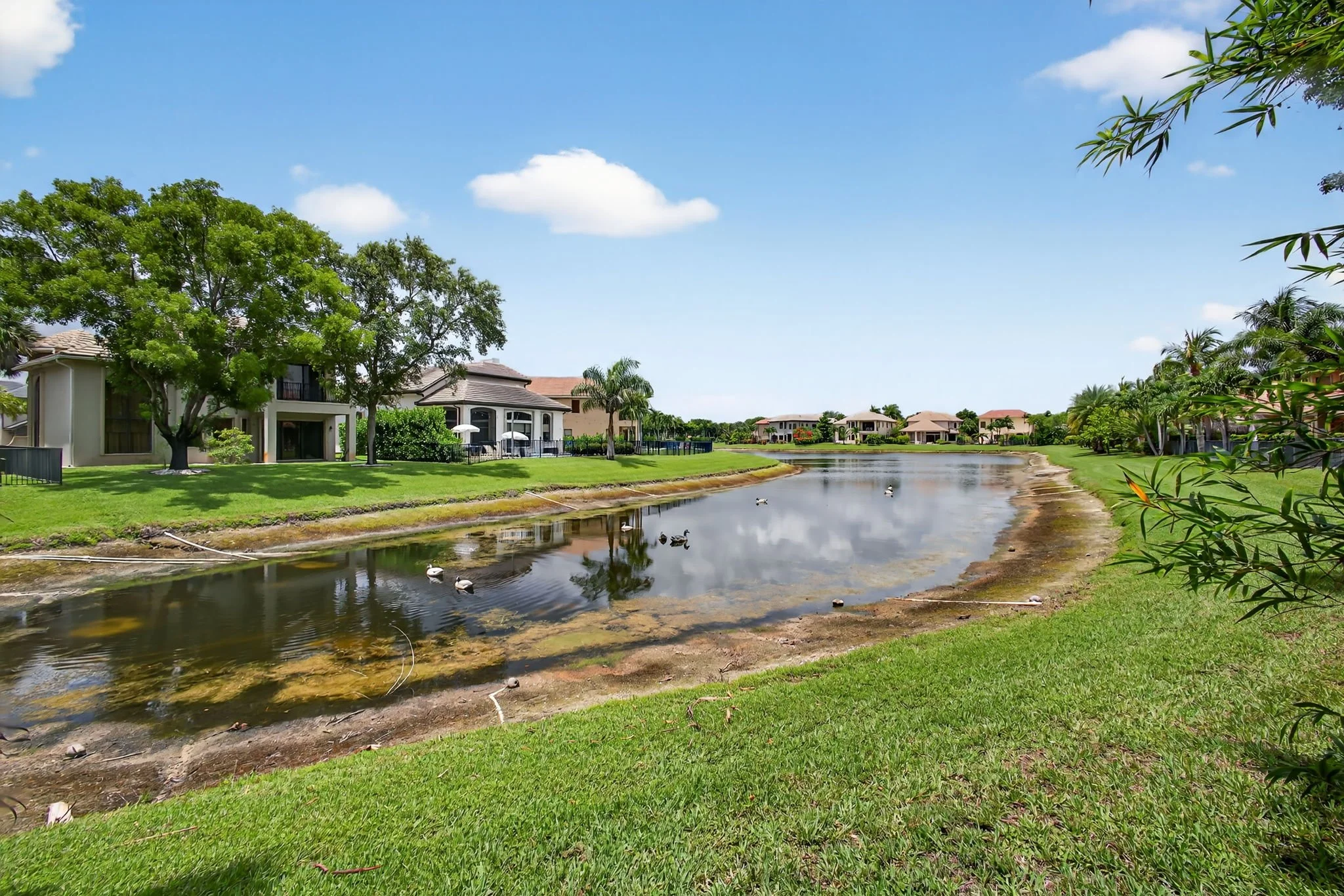 Lake view from the backyard