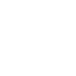 5 star google icon
