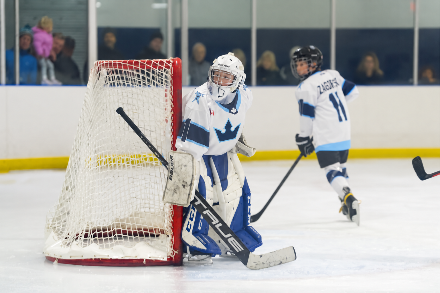 Pre-Season Goalie Camp