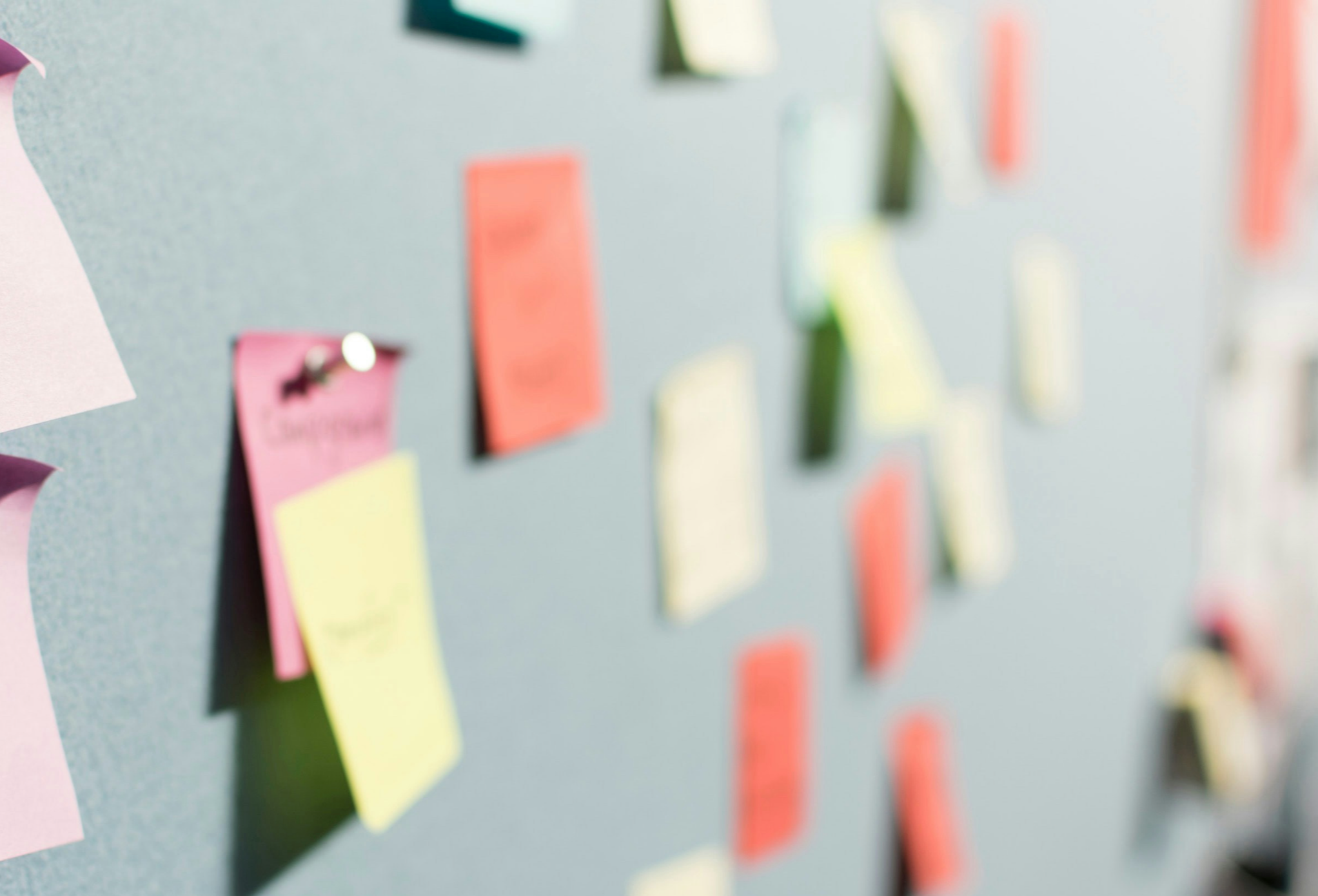 Friederike Köhler beim Workshop an einer Wand mit Sticky Notes