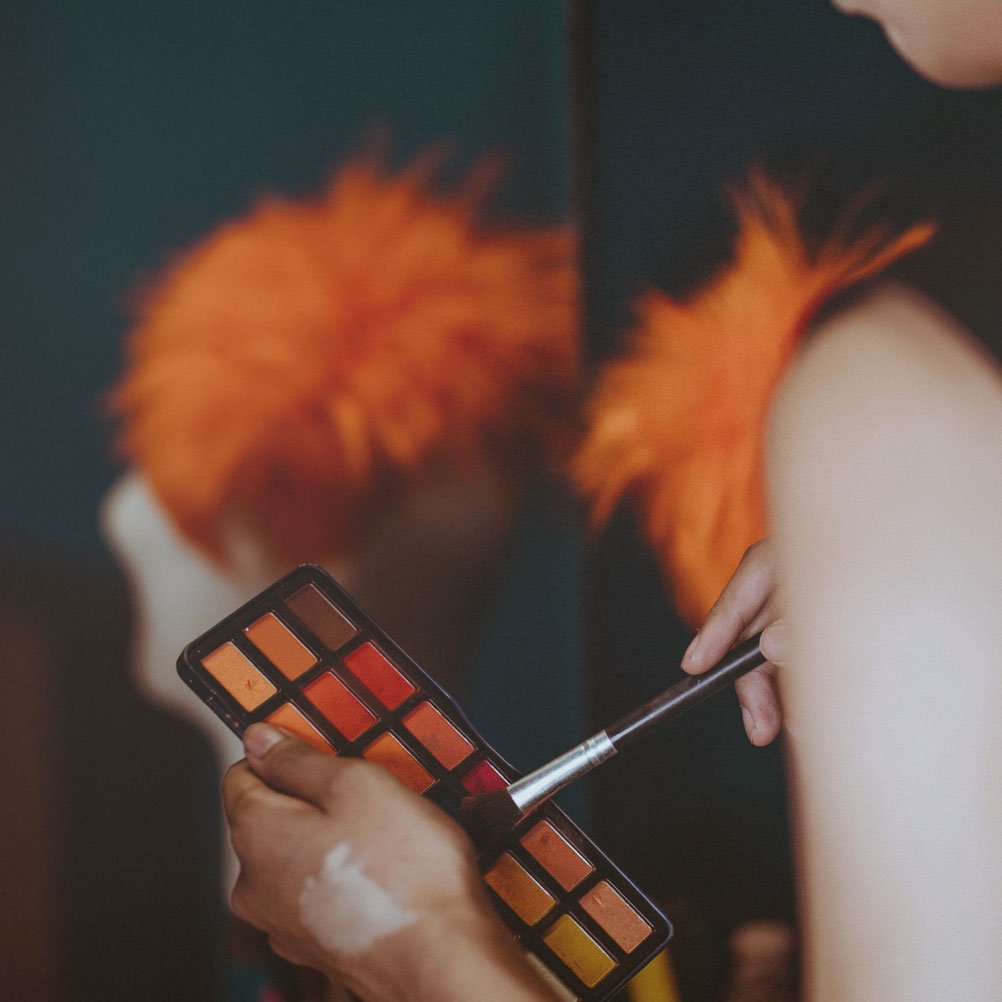 Party Colour and Makeup Analysis